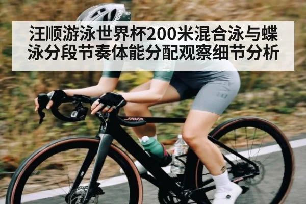 汪顺游泳世界杯200米混合泳与蝶泳分段节奏体能分配观察细节分析